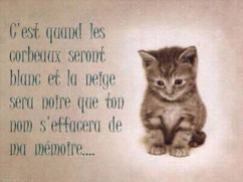 je t'aime